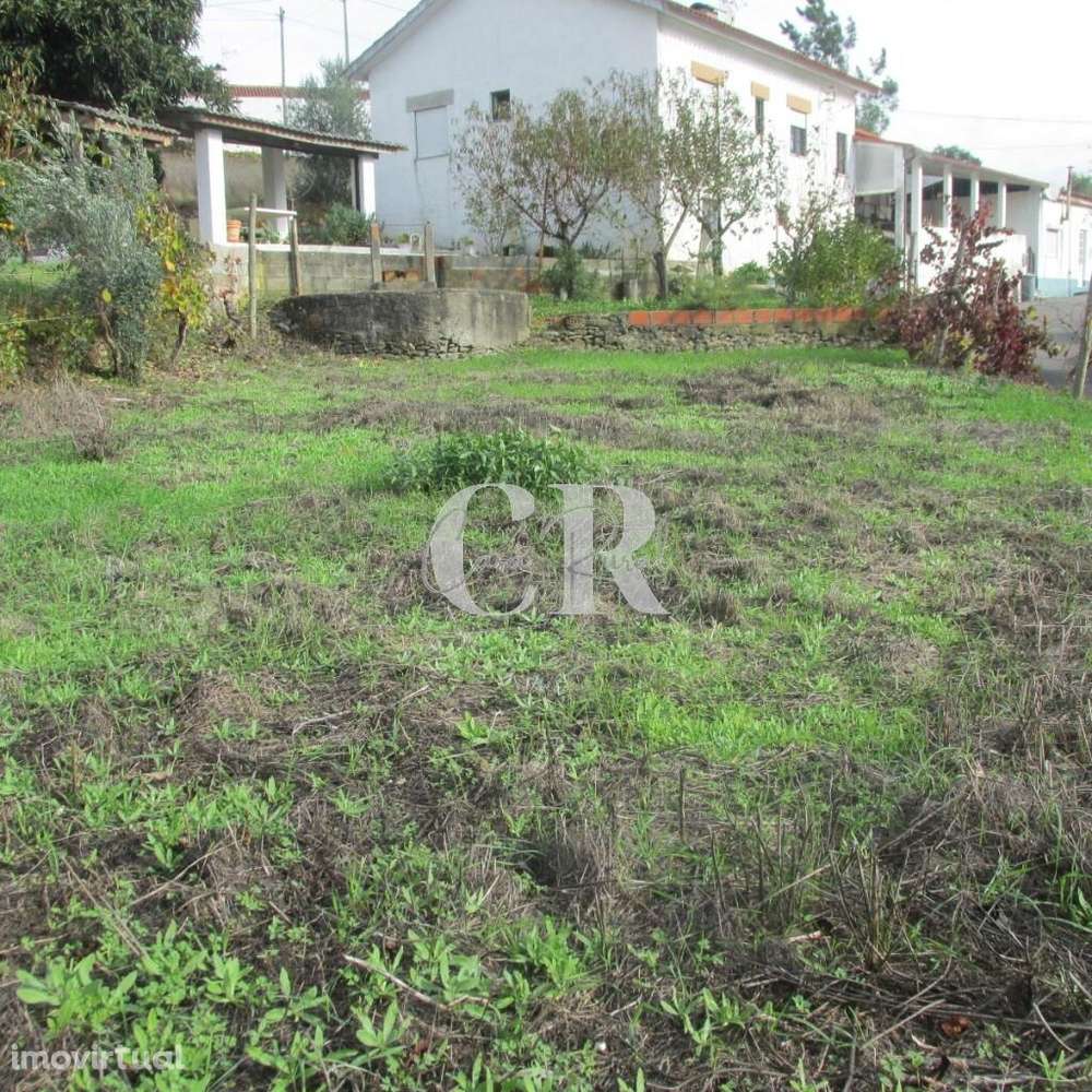 Casa de Pedra para Renovação Total em Vila Nova de Poiares - Grande imagem: 3/15