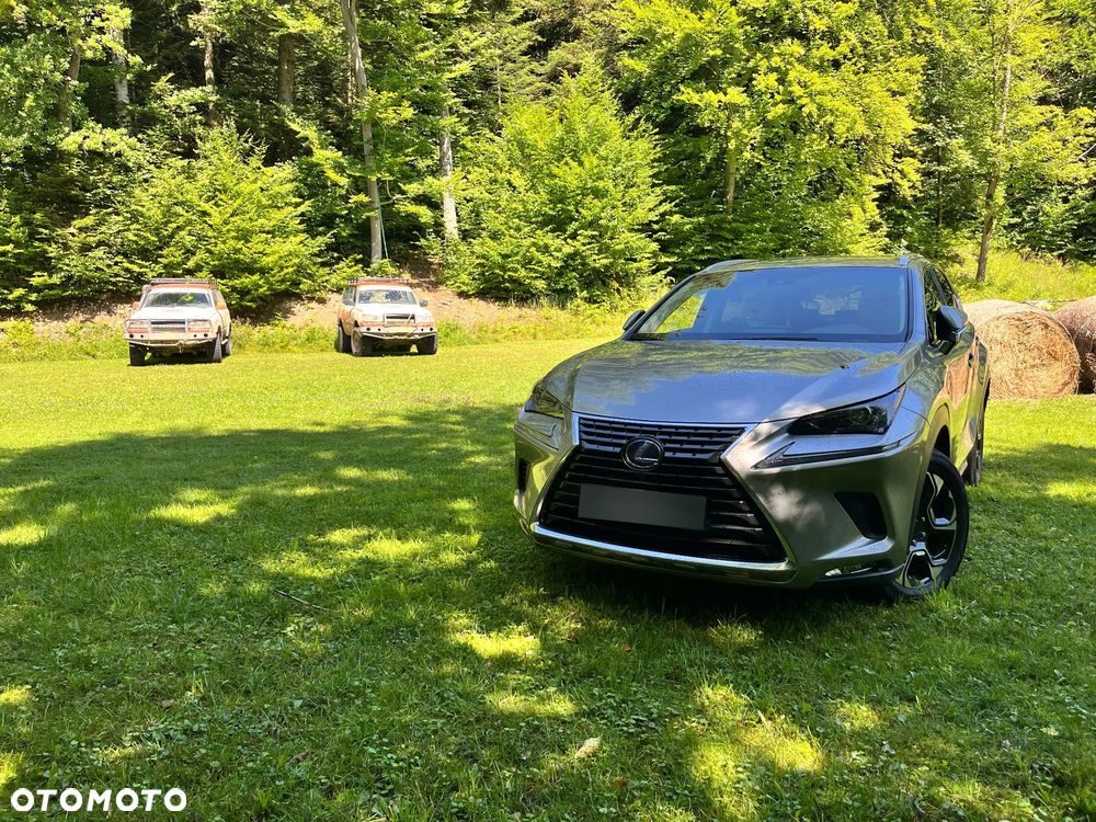 Lexus NX 300h Elegance AWD - 35