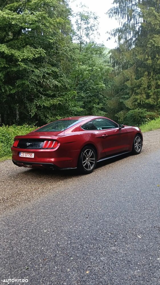 Ford Mustang 2.3 EcoBoost Aut. - 10