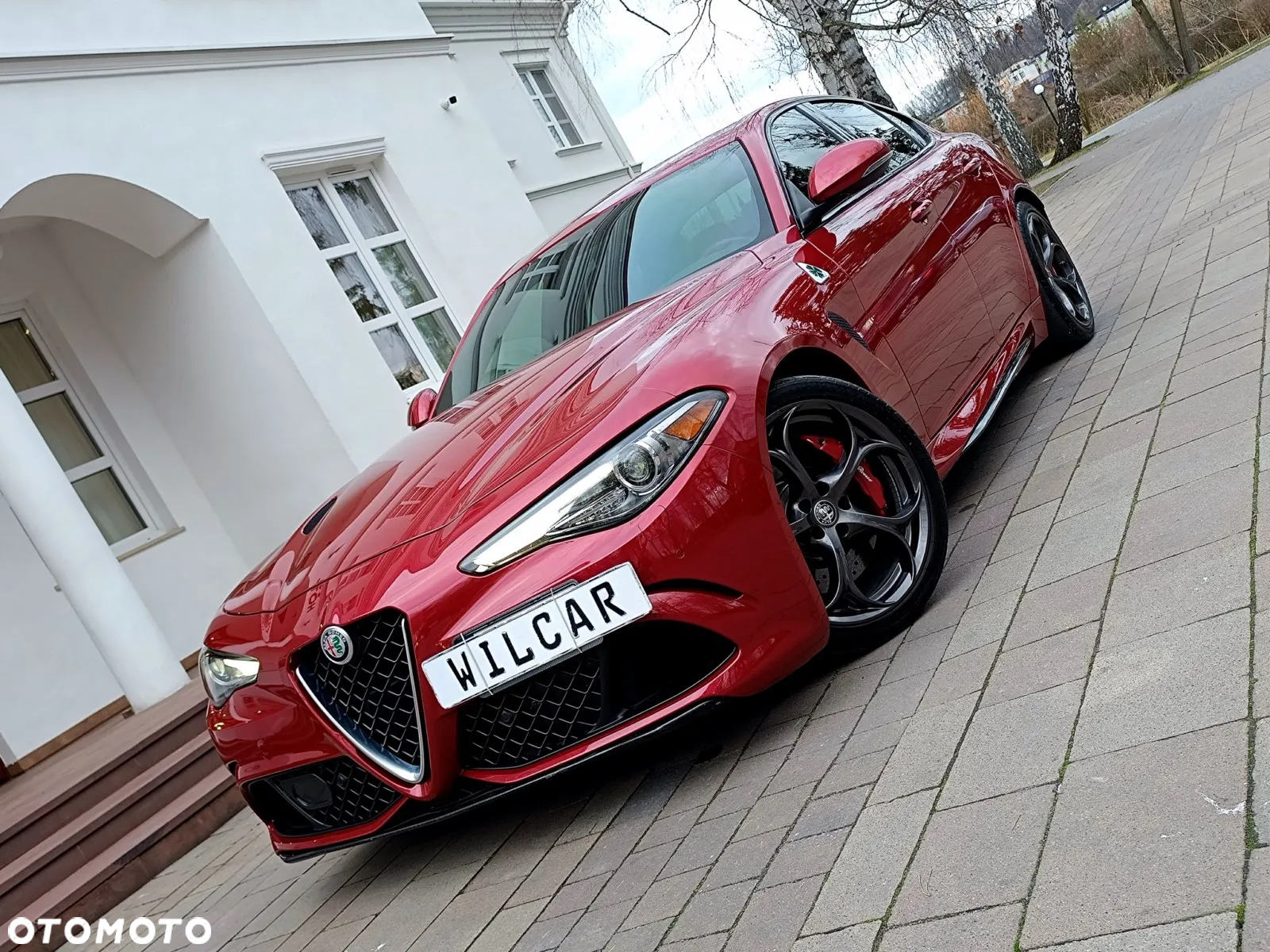 Alfa Romeo Giulia 2.9 Bi Turbo V6 Quadrifoglio - 5