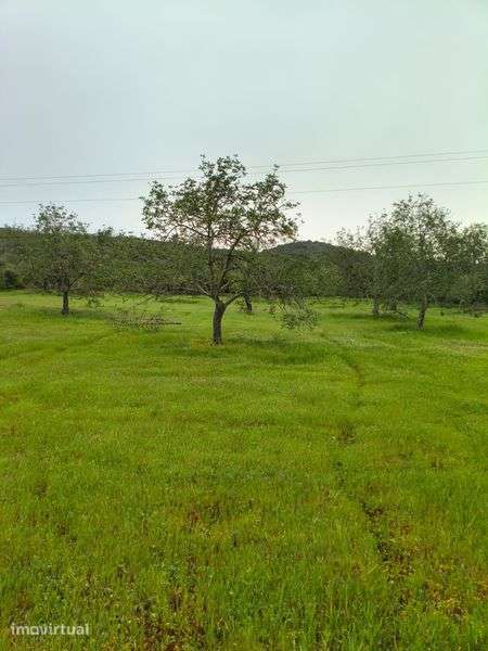 Terreno rústico 5.380 m², Vale de Loulé, Paderne,Albufeira - Grande imagem: 2/8