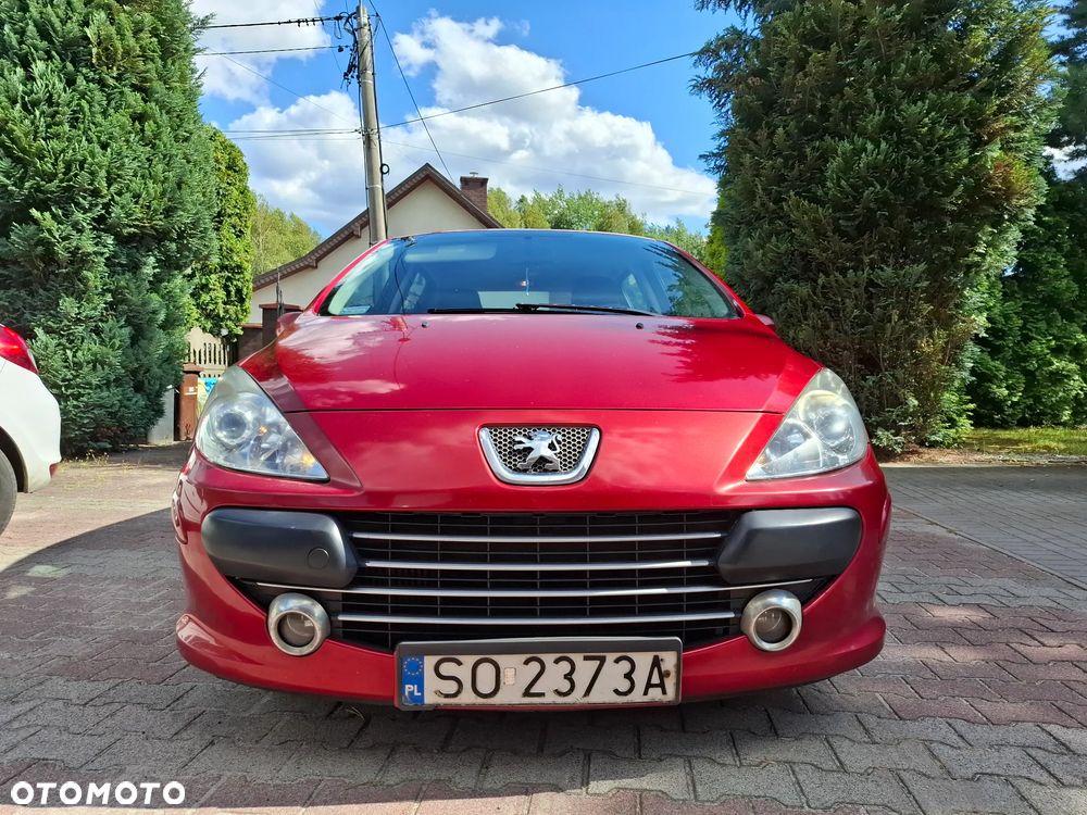 Peugeot 307 1.6 HDI Oxygo - 10