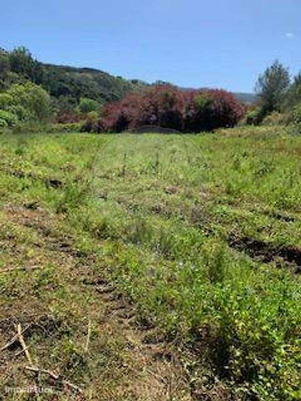 Terreno  para venda - Grande imagem: 4/4