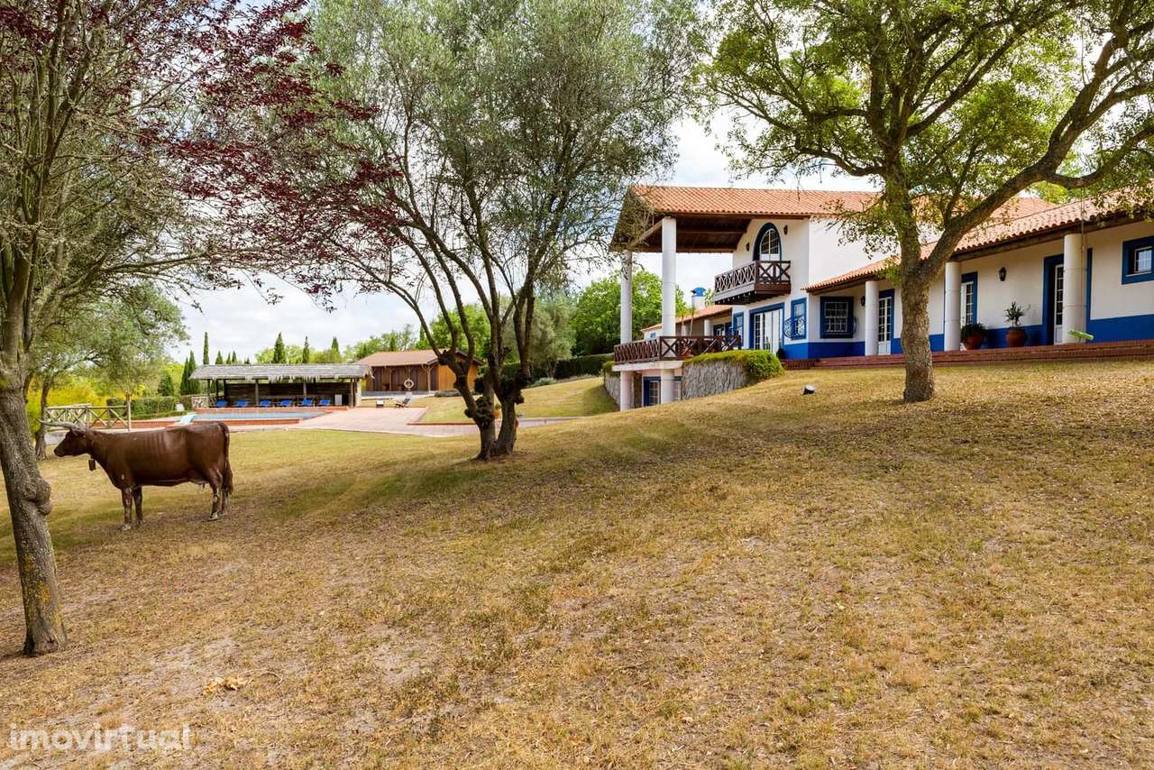 Herdade 18.0 ha, Vale Verde, Santiago do Cacem - Grande imagem: 3/55