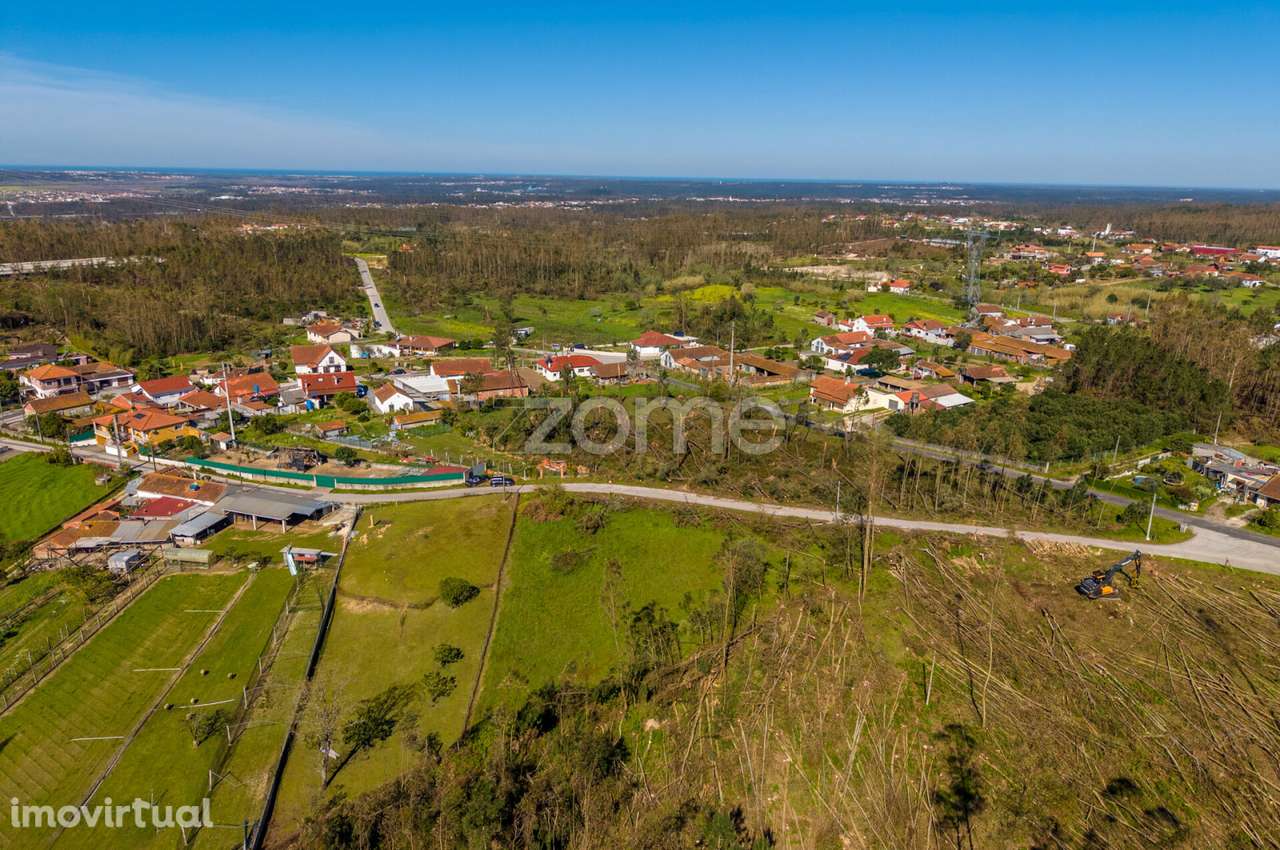 Terreno rústico – Souto da Carpalhosa - Grande imagem: 5/20
