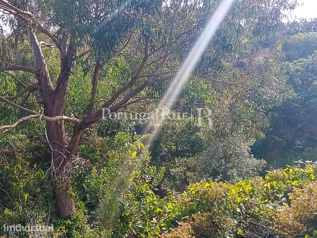 Terreno de Sobral, a 3 KM das Praias Costa Vicentina Algarve - Grande imagem: 2/4