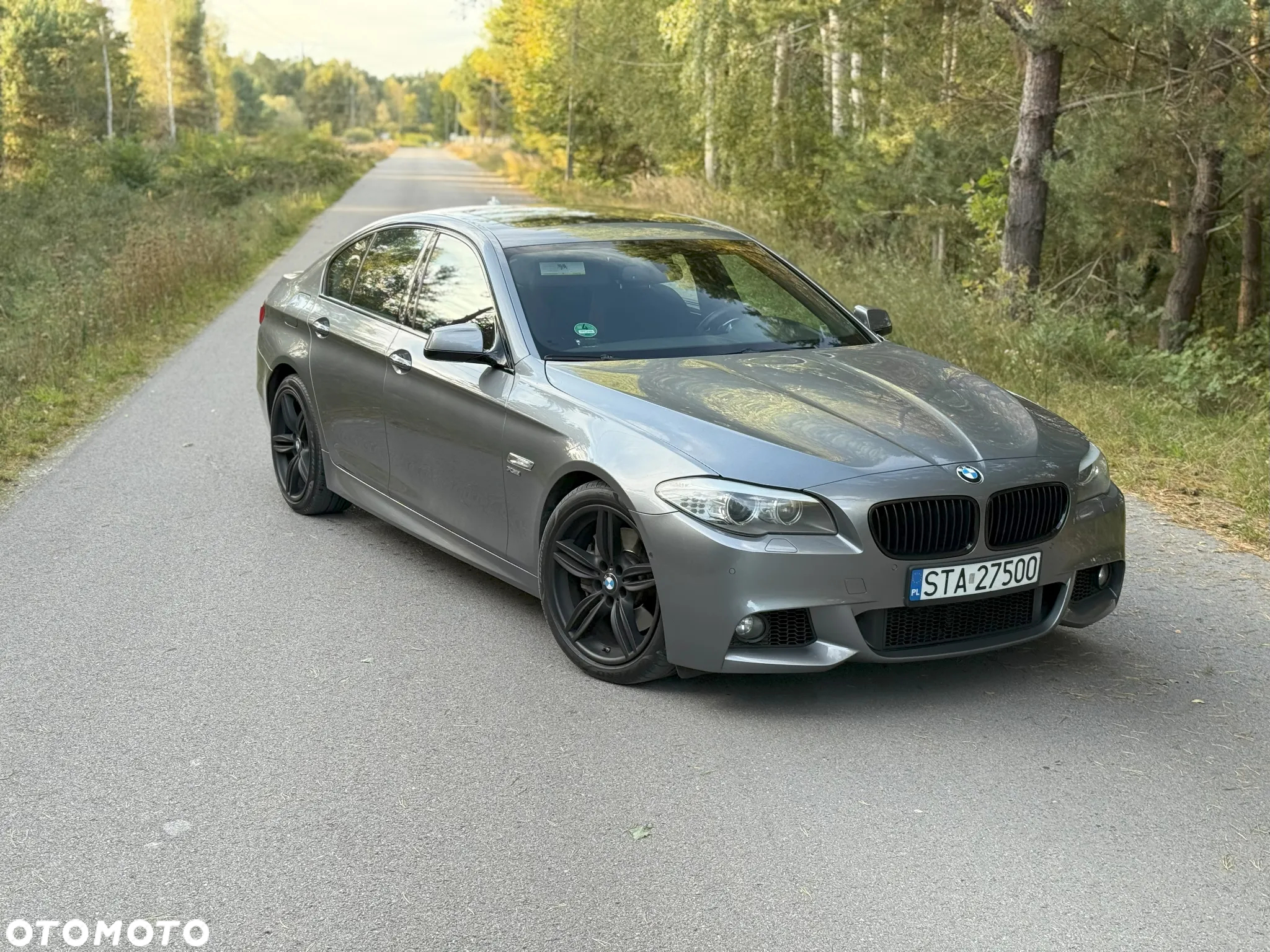 BMW Seria 5 550i - 7