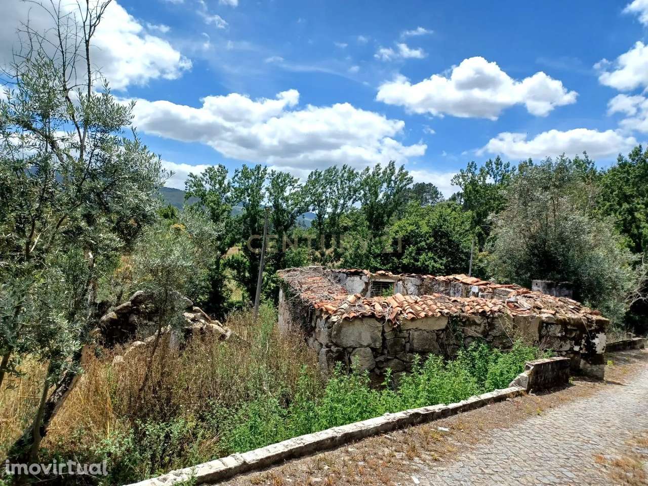 Moradia em Ruína com Terreno em Penhalonga - Grande imagem: 4/26