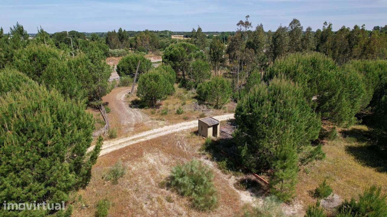 Terreno Rústico c/ 22.500m2 - Sto Isidro de Pegões - Montijo - Grande imagem: 2/12