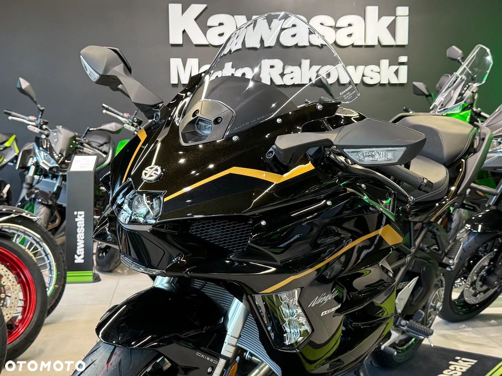 Kawasaki Ninja H2 SX - 14
