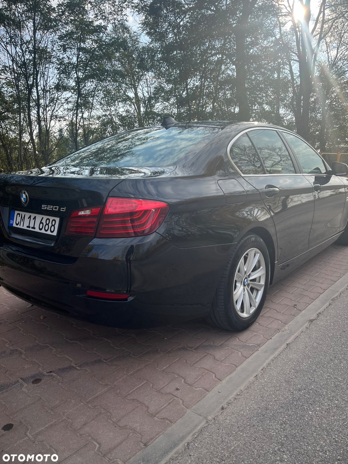 BMW Seria 5 520d Luxury Line - 5