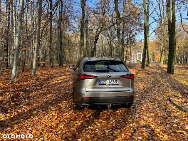 Lexus NX 300 Elegance Optimum AWD - 2