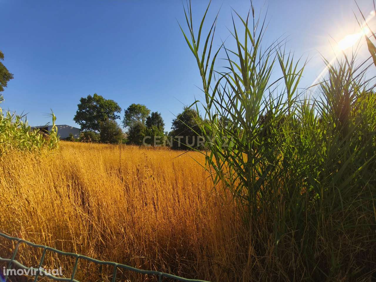 Terreno rustico na Merceana com 3800m2 - Grande imagem: 3/19