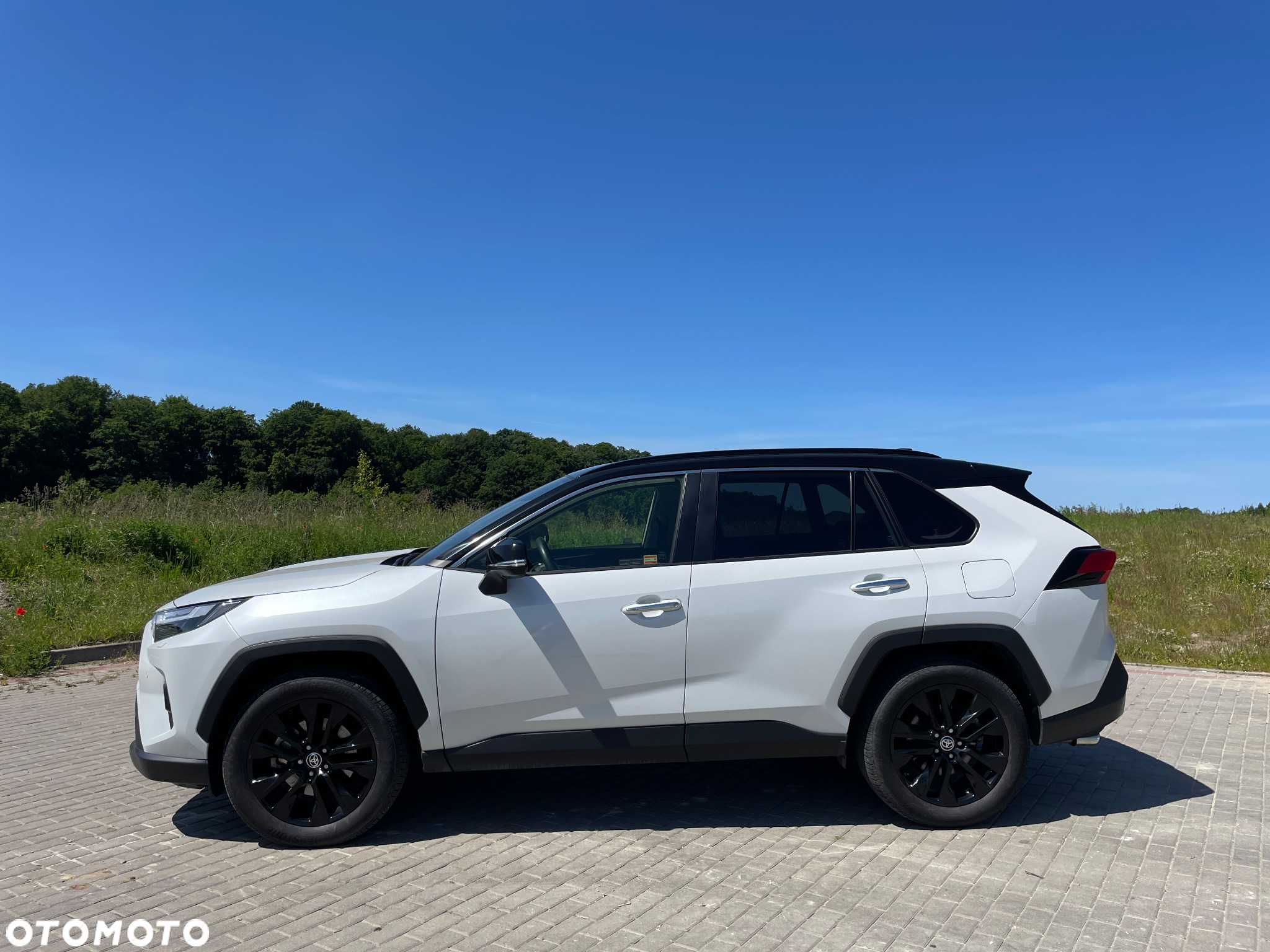 Toyota RAV4 2.5 Hybrid Executive 4x4 - 2
