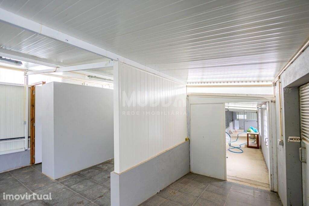 Terreno com Benfeitorias - Grande imagem: 3/38