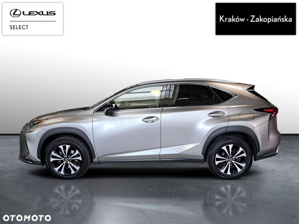 Lexus NX 300h F Impression AWD - 5