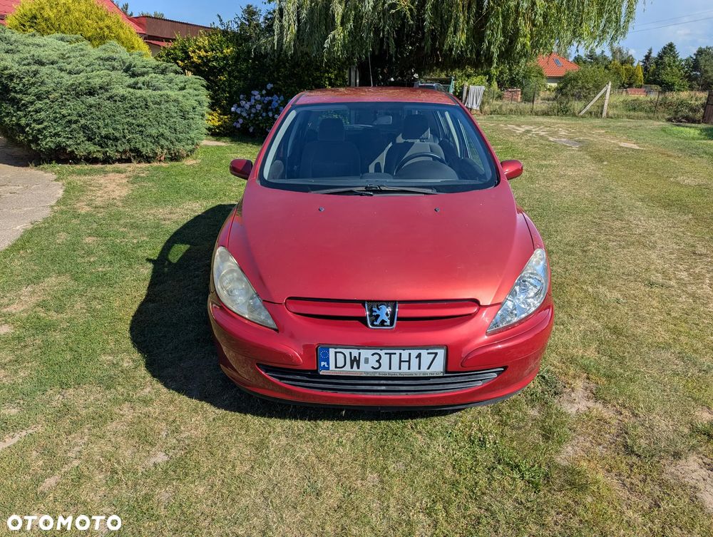 Peugeot 307 1.6 - 2