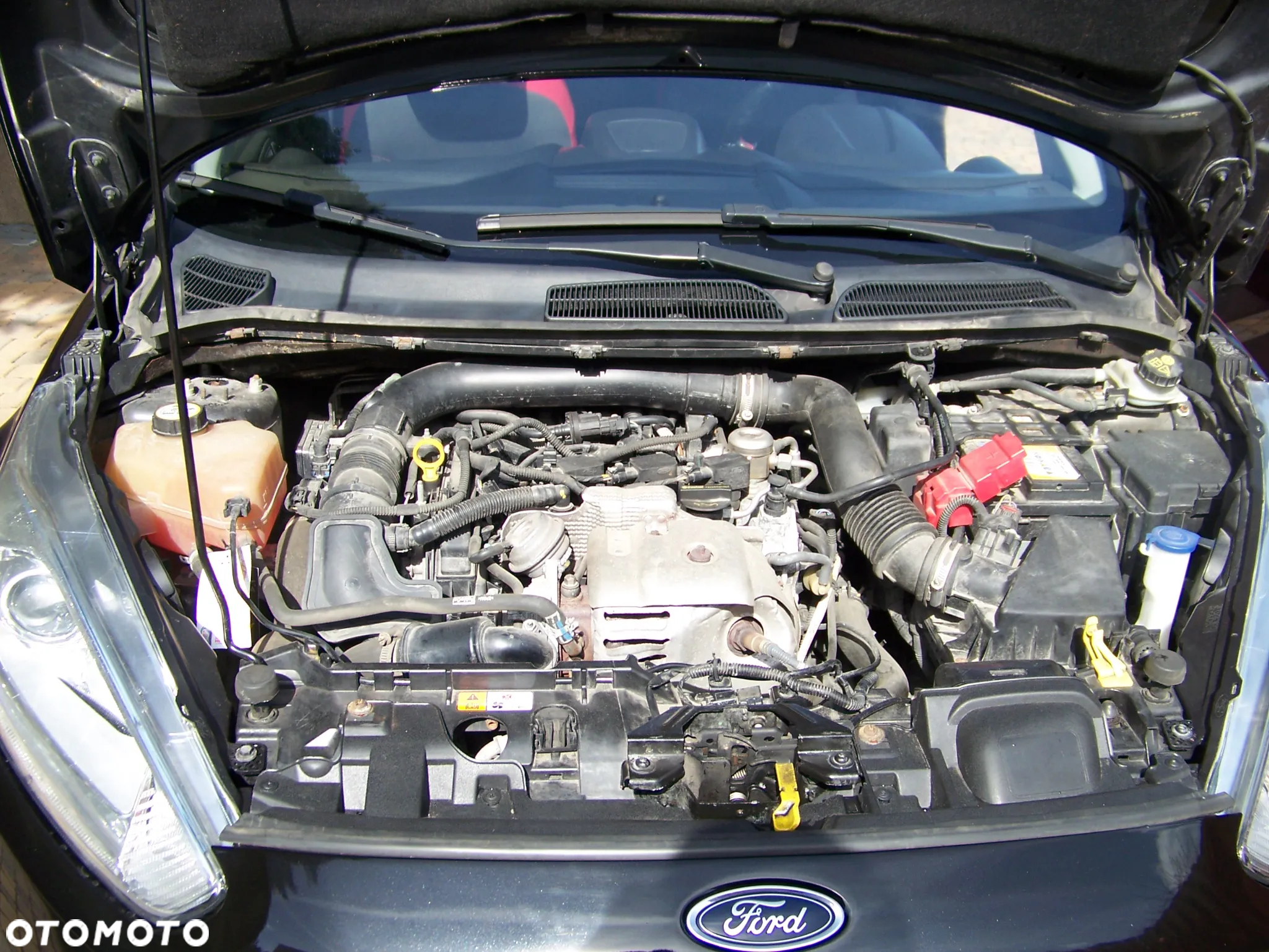 Ford Fiesta - 15