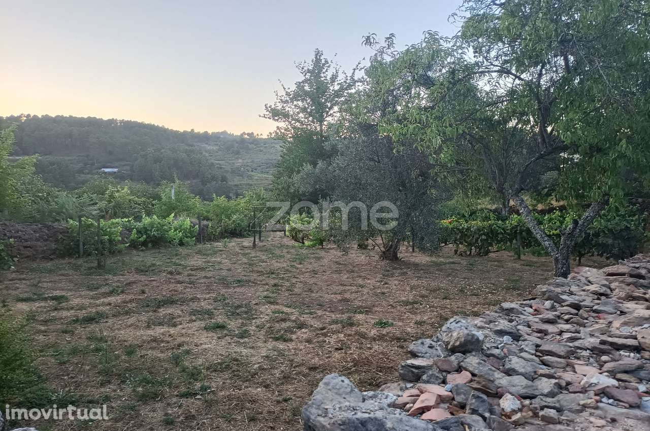 Construção rural em granito com potencial de ampliação e remodelaçã... - Grande imagem: 4/8