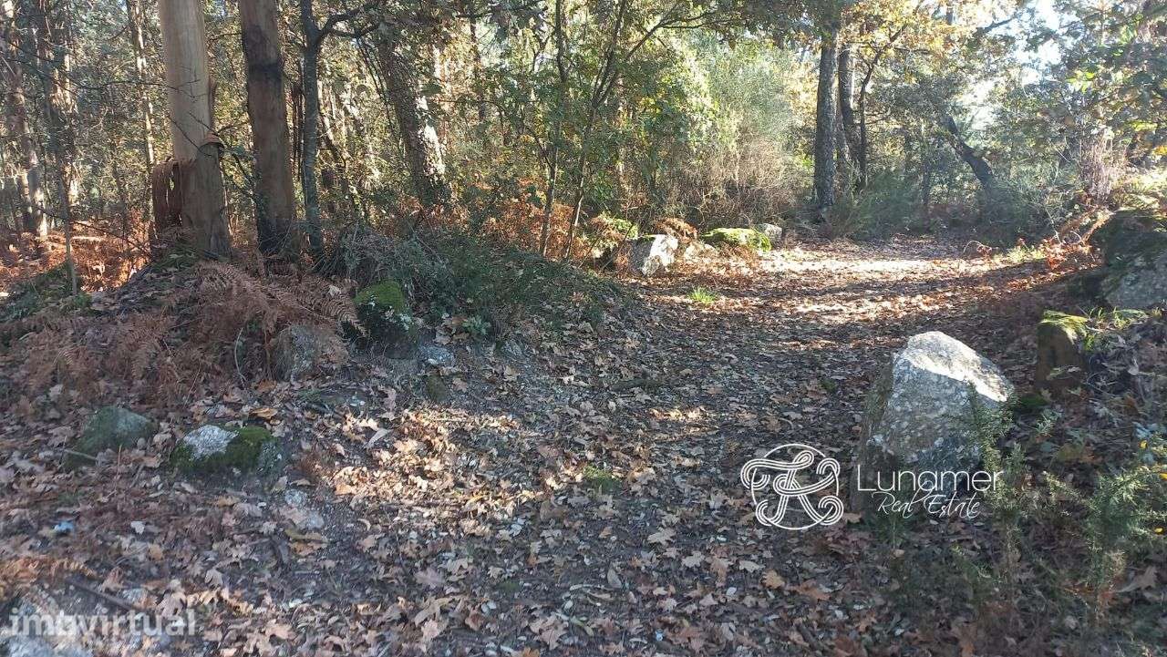 Terreno na zona industrial de Palmeira, Santo Tirso - Grande imagem: 4/6