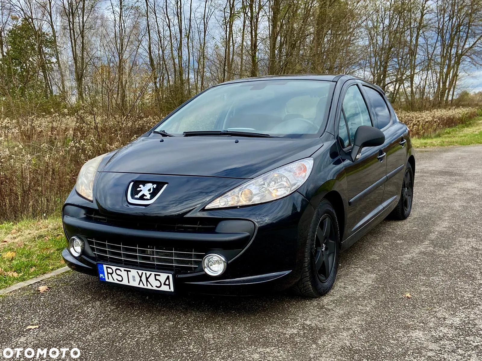 Peugeot 207 - 1