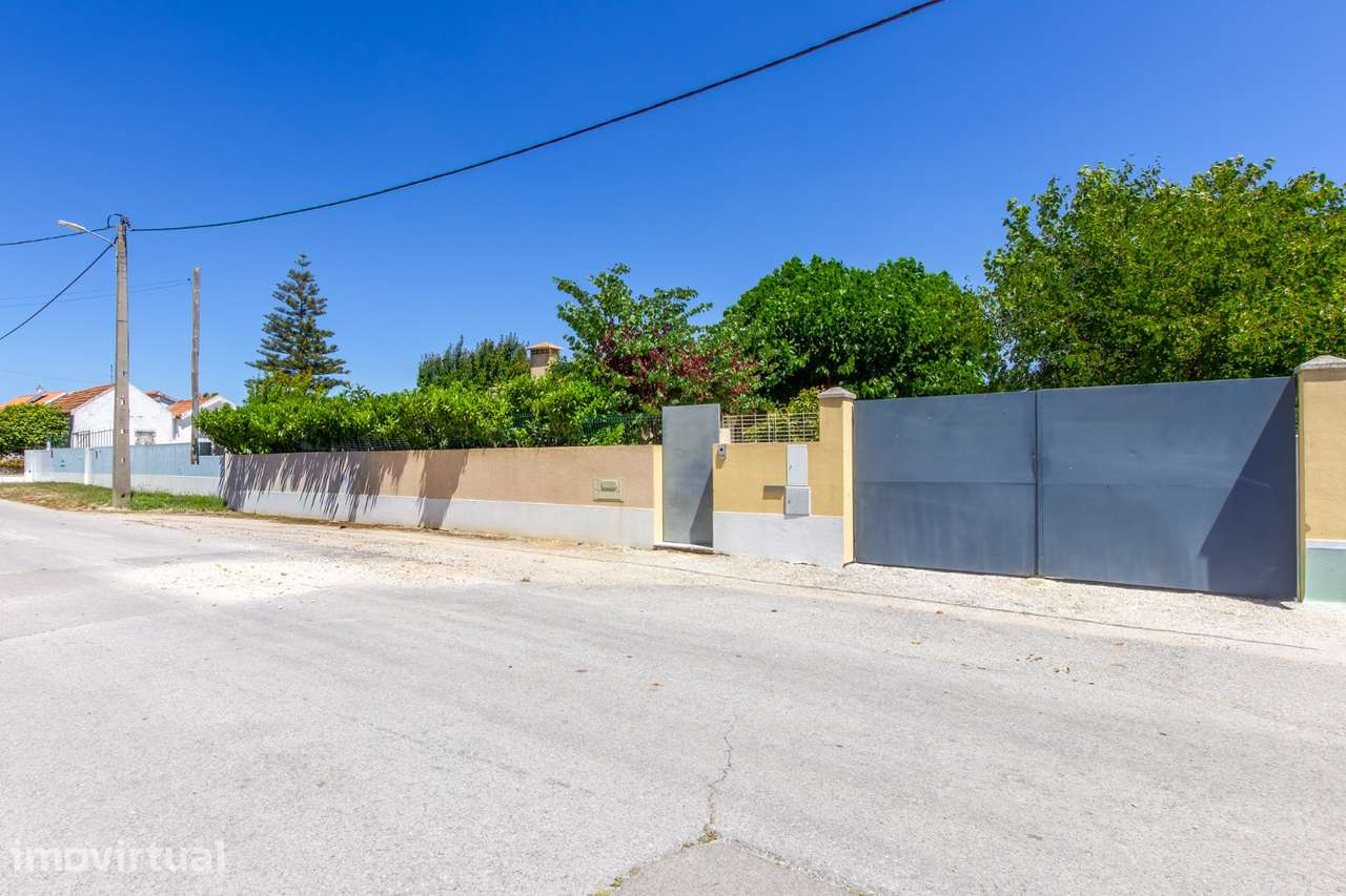 Moradia T2 com Garagem para 4 Viaturas e Vinha Certificada | Palhota - Grande imagem: 3/25