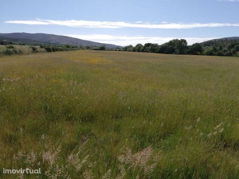 Quinta em Meimoa 9 ha - Grande imagem: 2/11