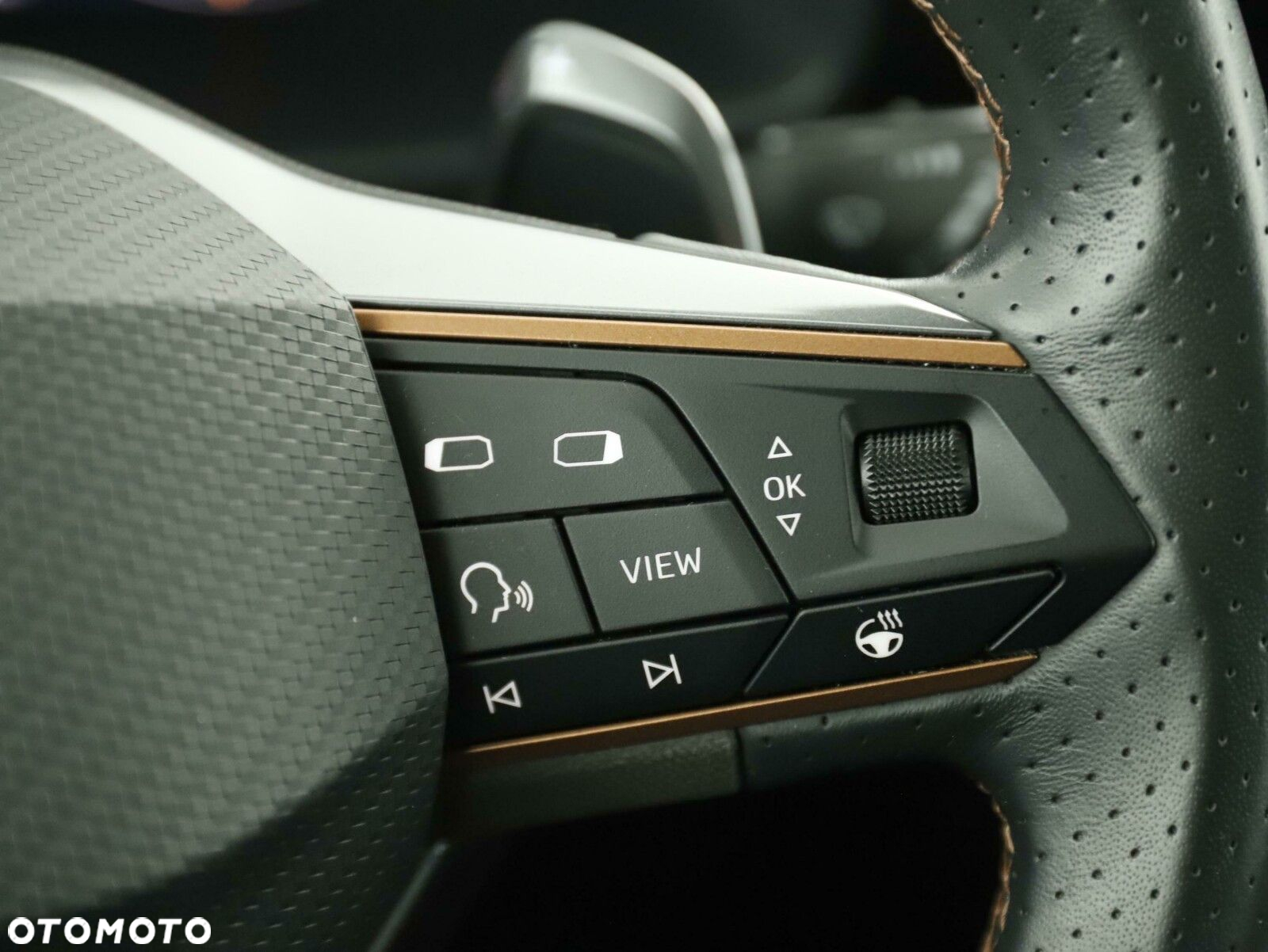 Cupra Formentor 1.5 TSI DSG - 12
