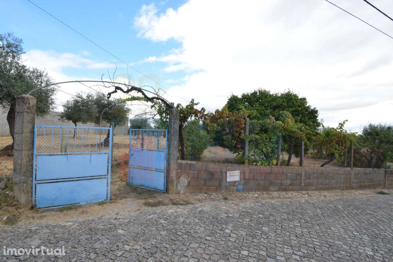 Quinta em Mata - Castelo Branco - Grande imagem: 3/28