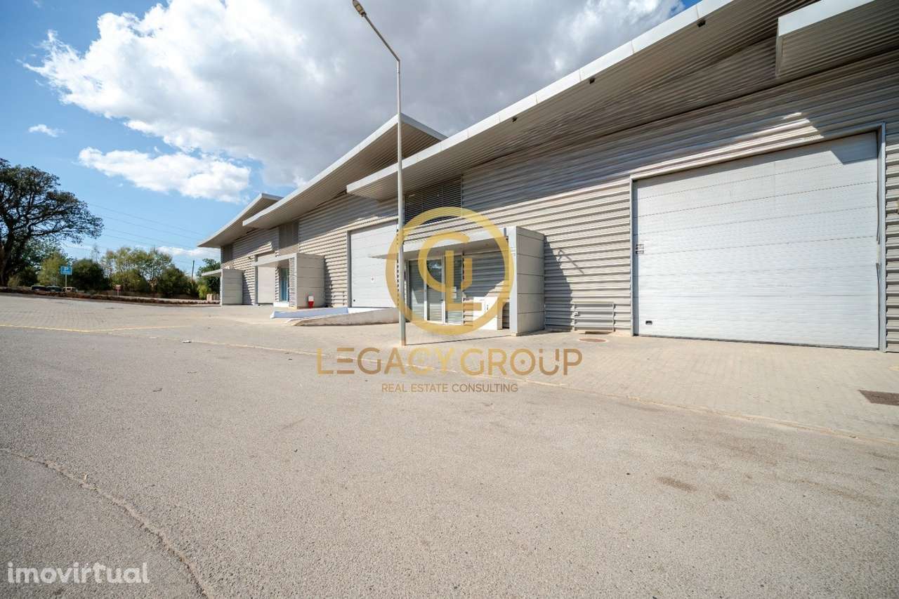 Armazém Moderno + Negócio de Bricolage em Tunes - Grande imagem: 3/34