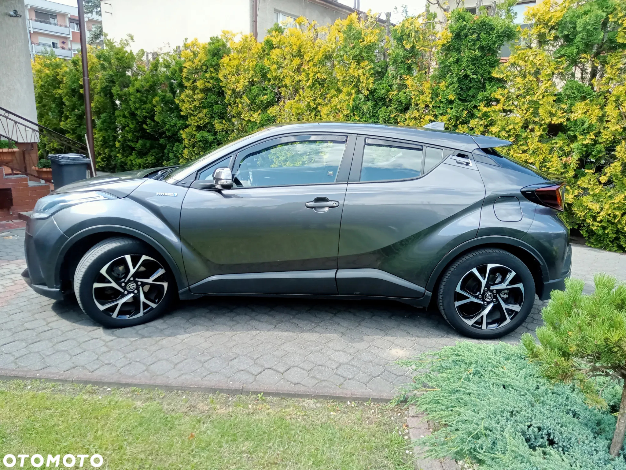 Toyota C-HR - 7