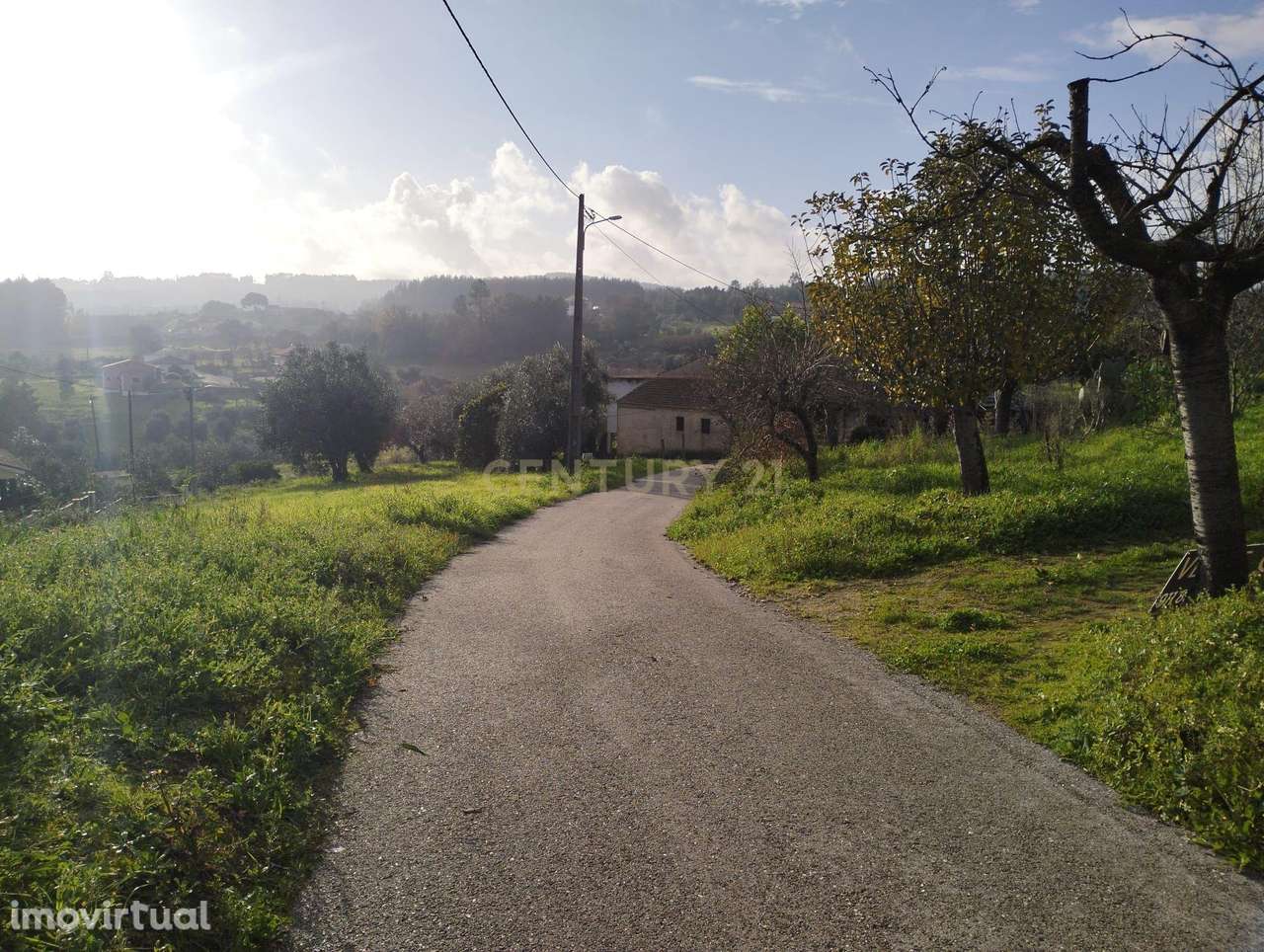 Terreno em Beco - Ferreira do Zêzere - Grande imagem: 5/6
