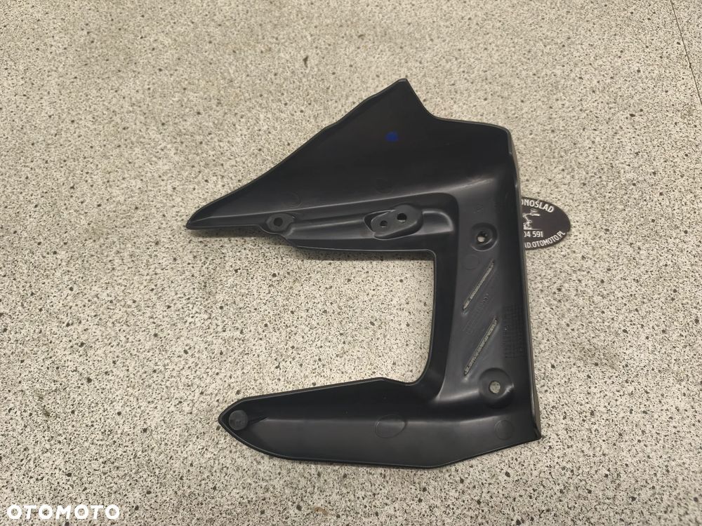 Owiewka, osłona chłodnicy, wypełnienie Triumph Street Triple 675 - 10