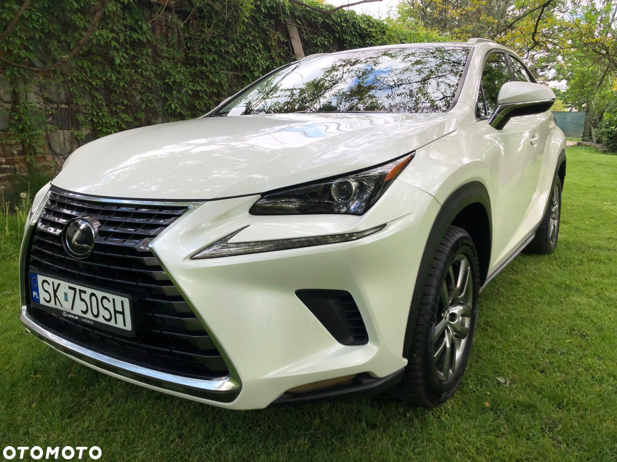Lexus NX 300 Business Edition AWD - 1