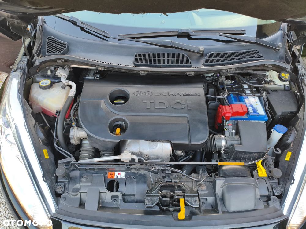 Ford Fiesta - 21