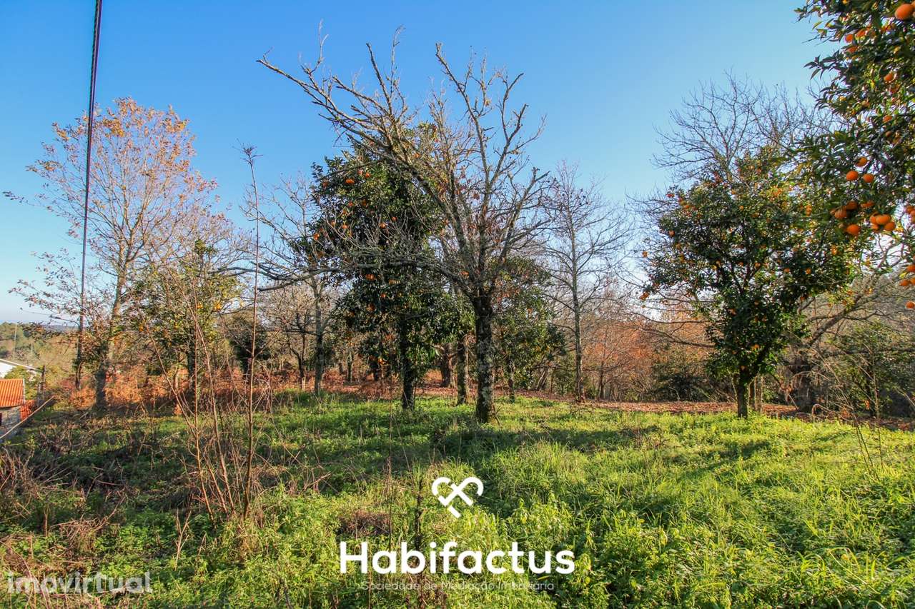 Terreno amplo e versátil com potencial de construção em Santiago de Be - Grande imagem: 5/20