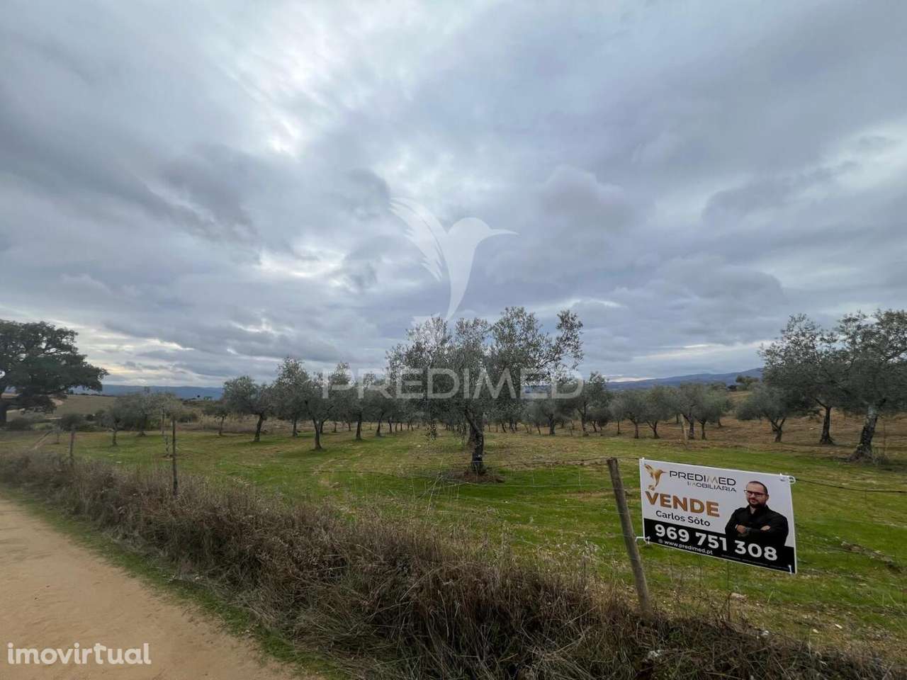 Terreno em Morais com olival e terreno para cultivo - Grande imagem: 3/13