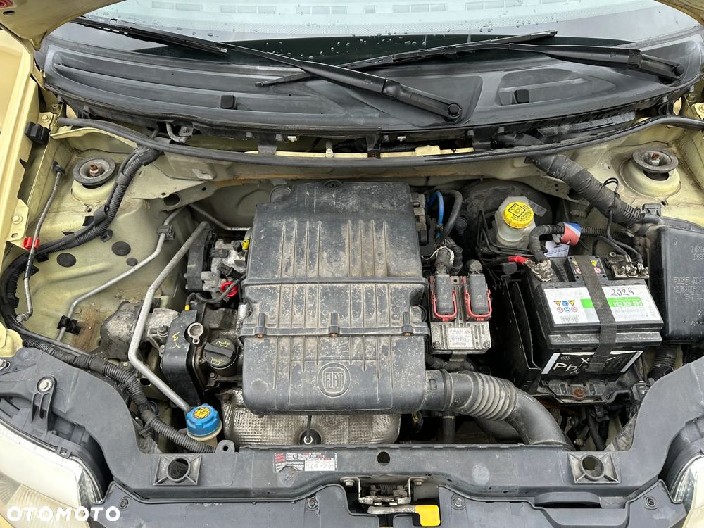 Fiat Panda 1.2 Active - 23
