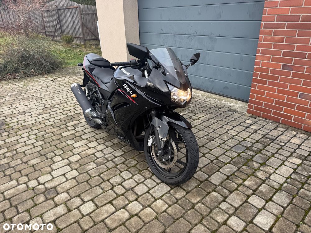 Kawasaki Ninja 250R - 5