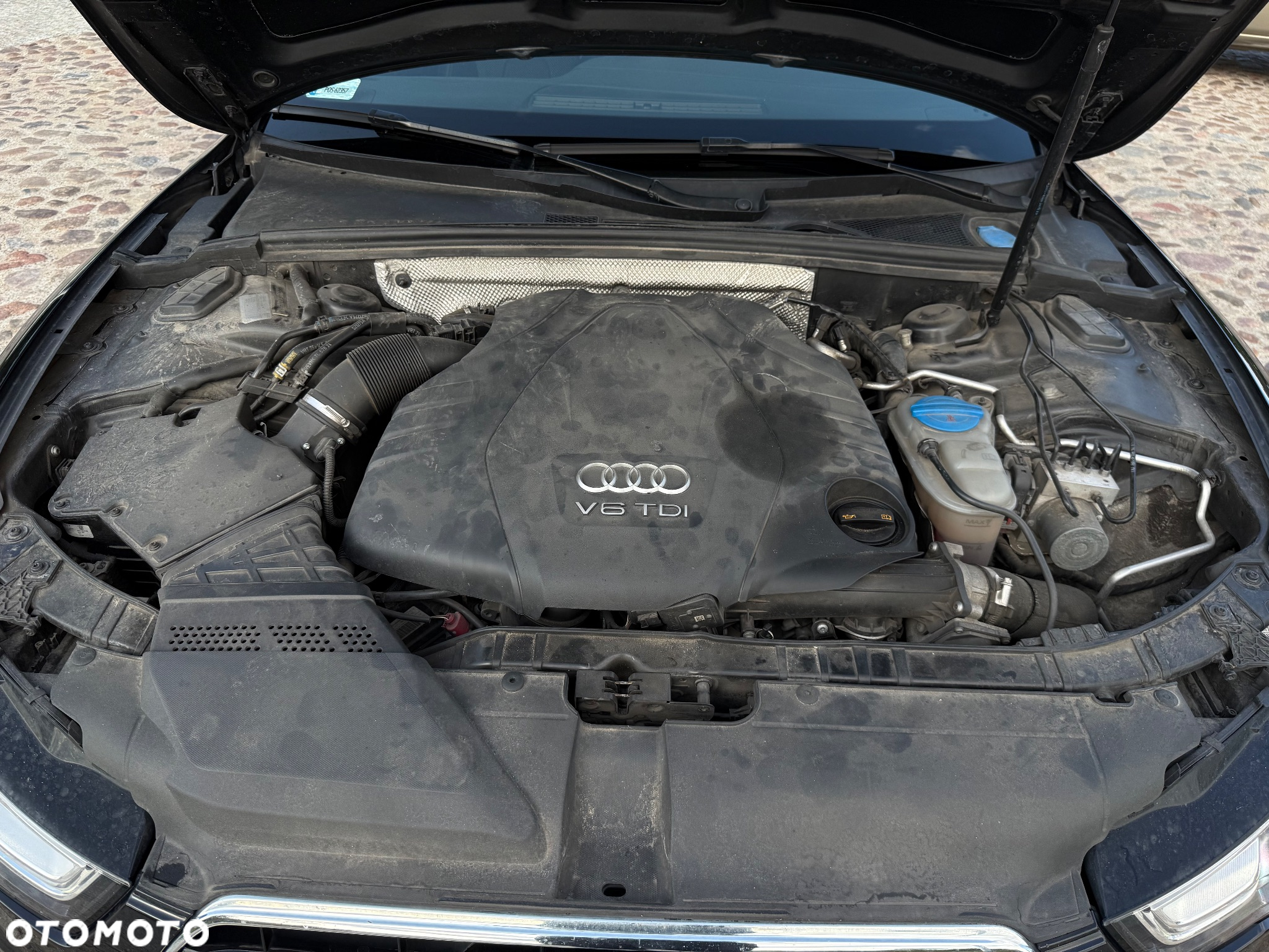 Audi A5 3.0 TDI Multitronic - 26