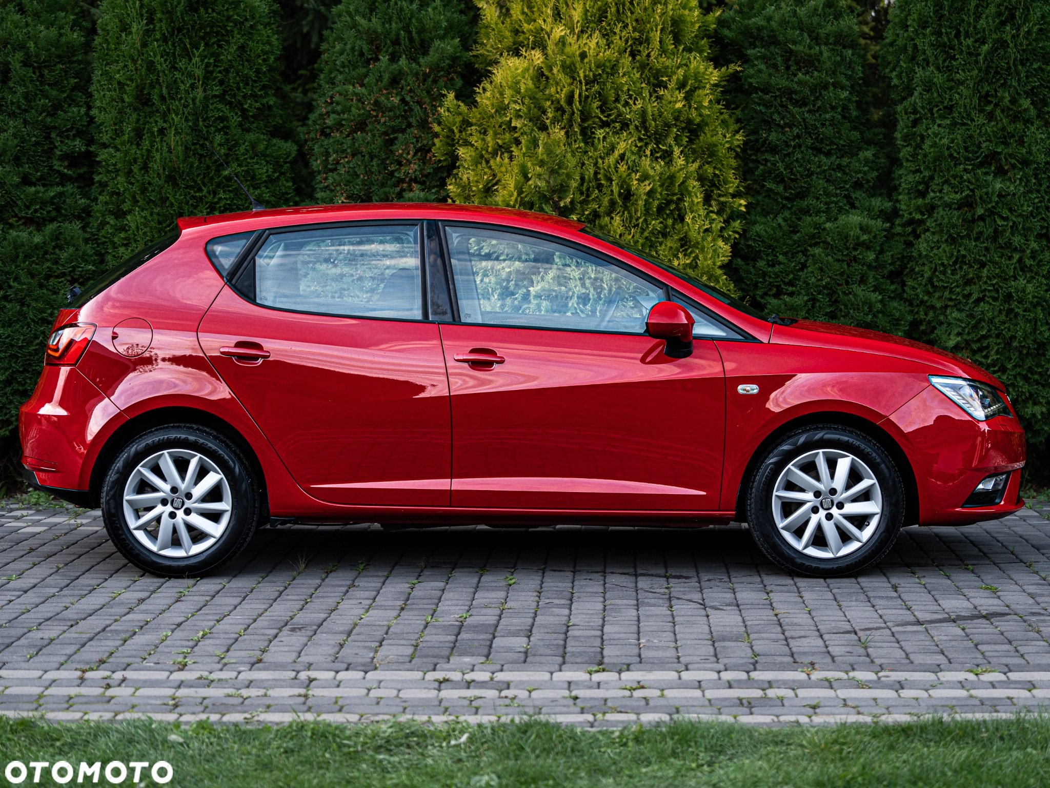 Seat Ibiza 1.2 TSI Style Salsa - 5