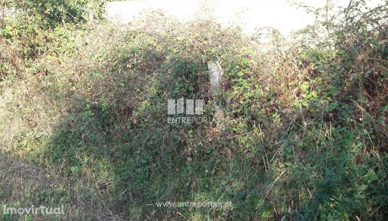 Terreno para venda, Moledo, Caminha - Grande imagem: 4/6