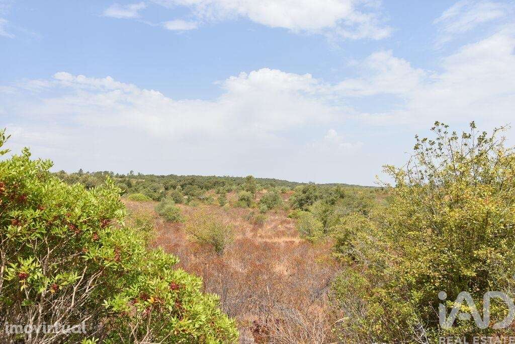 Terreno em Areias e Pias de 1600,00 m2 - Grande imagem: 2/30