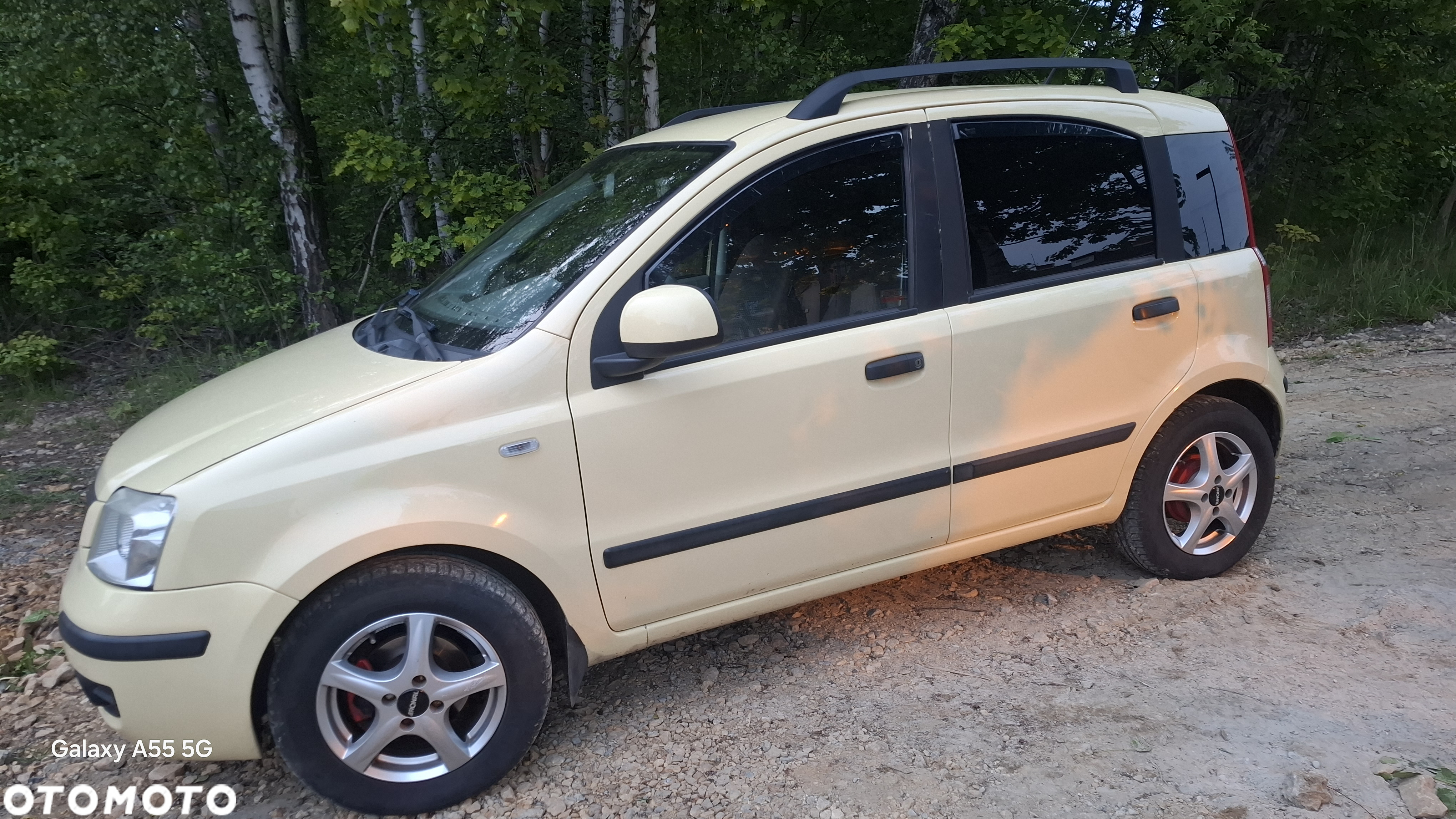 Fiat Panda 1.2 Dynamic - 2