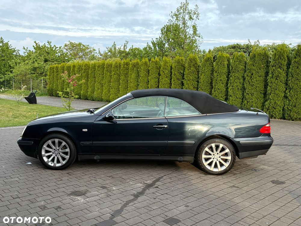 Mercedes-Benz CLK - 15