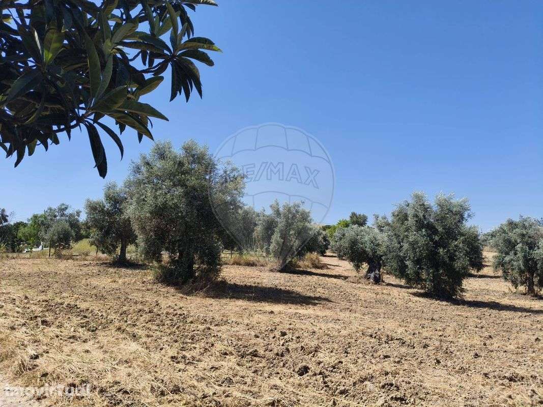 Terreno  para venda - Grande imagem: 3/6