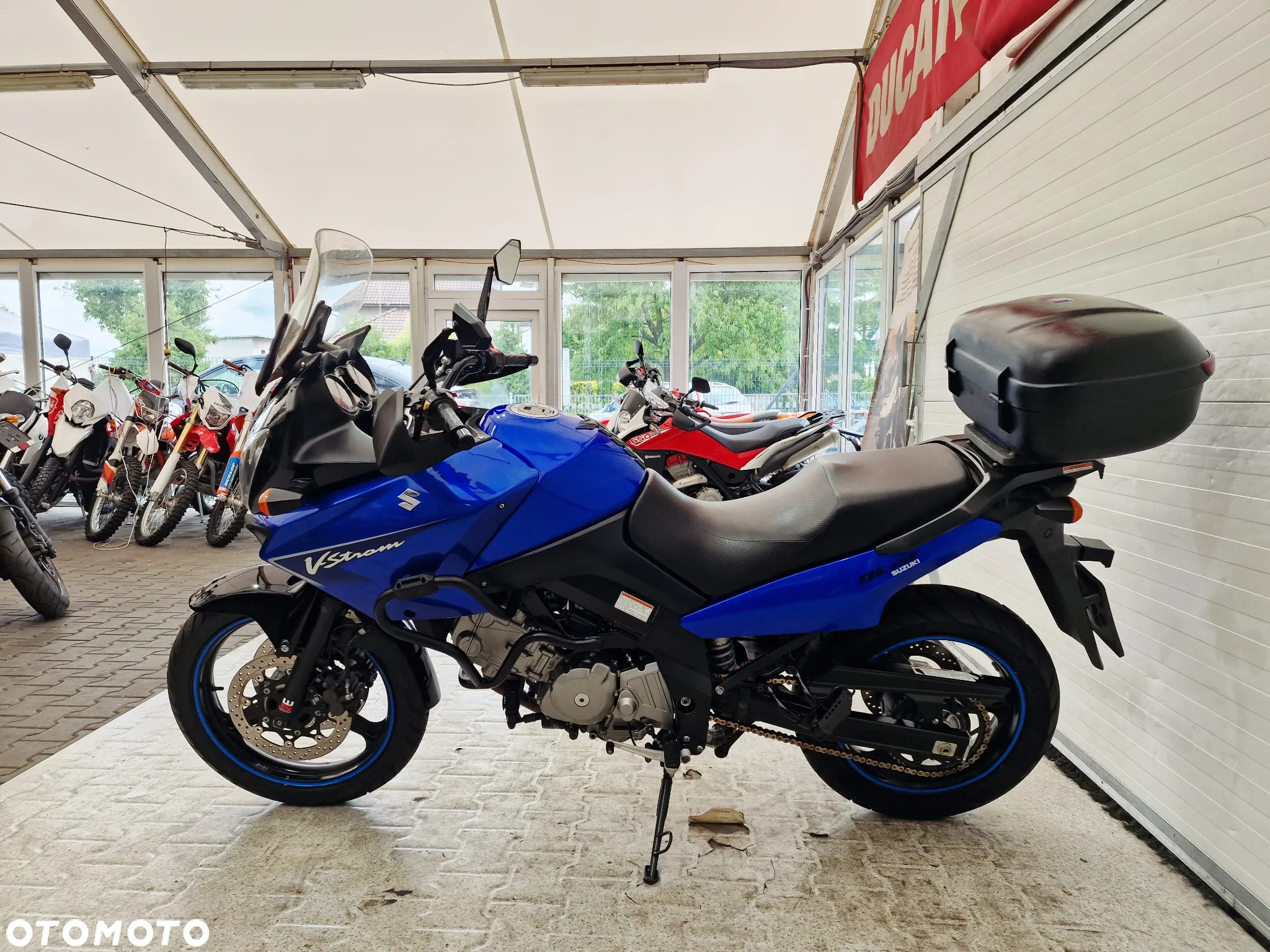 Suzuki DL - 21