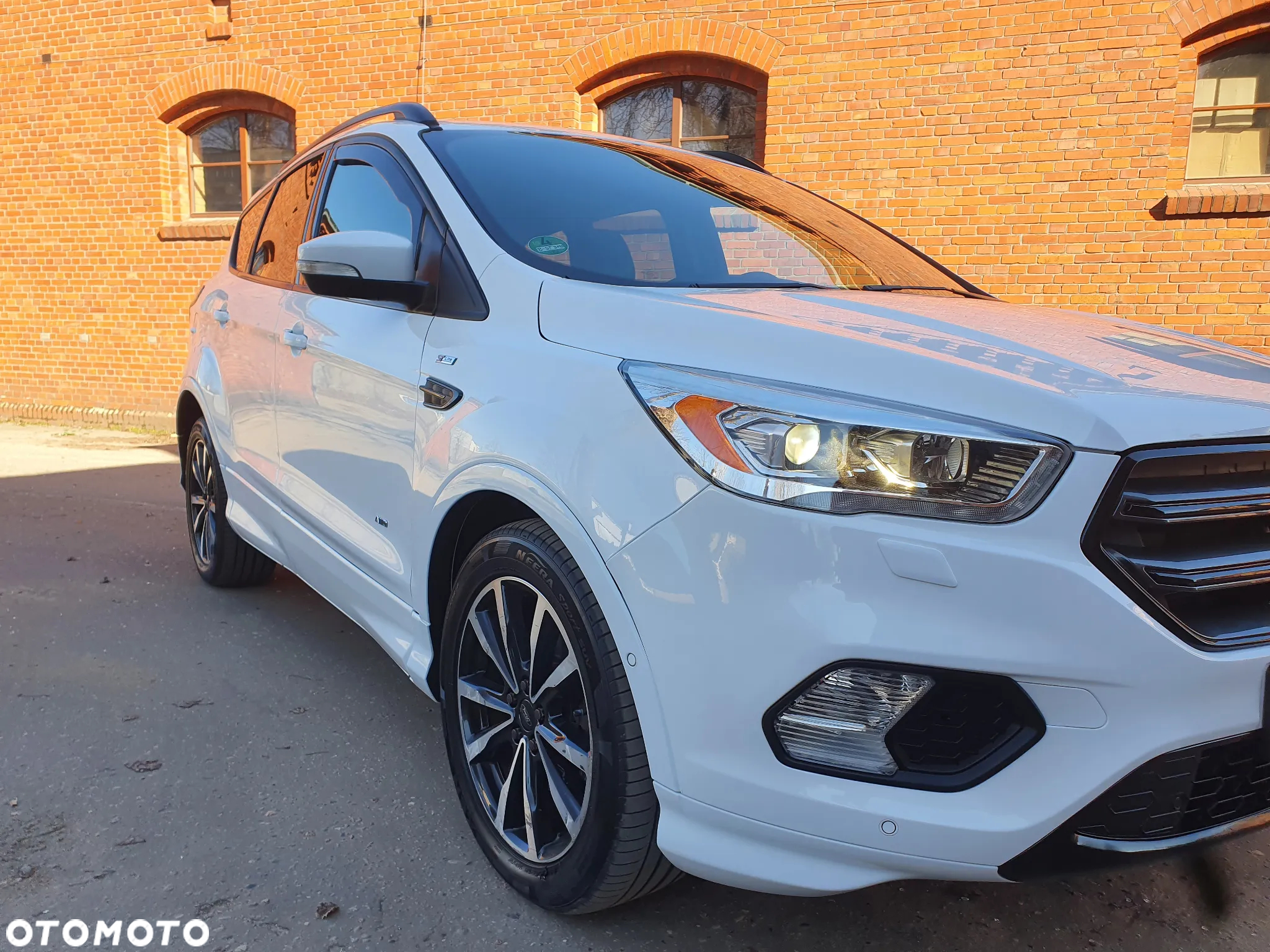 Ford Kuga 2.0 TDCi 4x4 ST-Line - 2