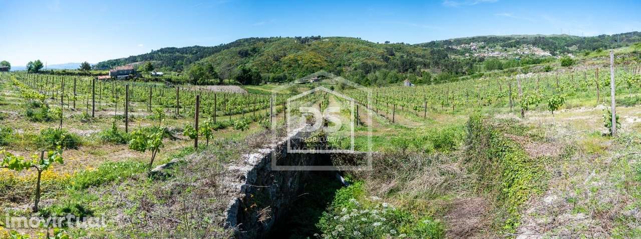 Herdade  Venda em Gove,Baião - Grande imagem: 5/11