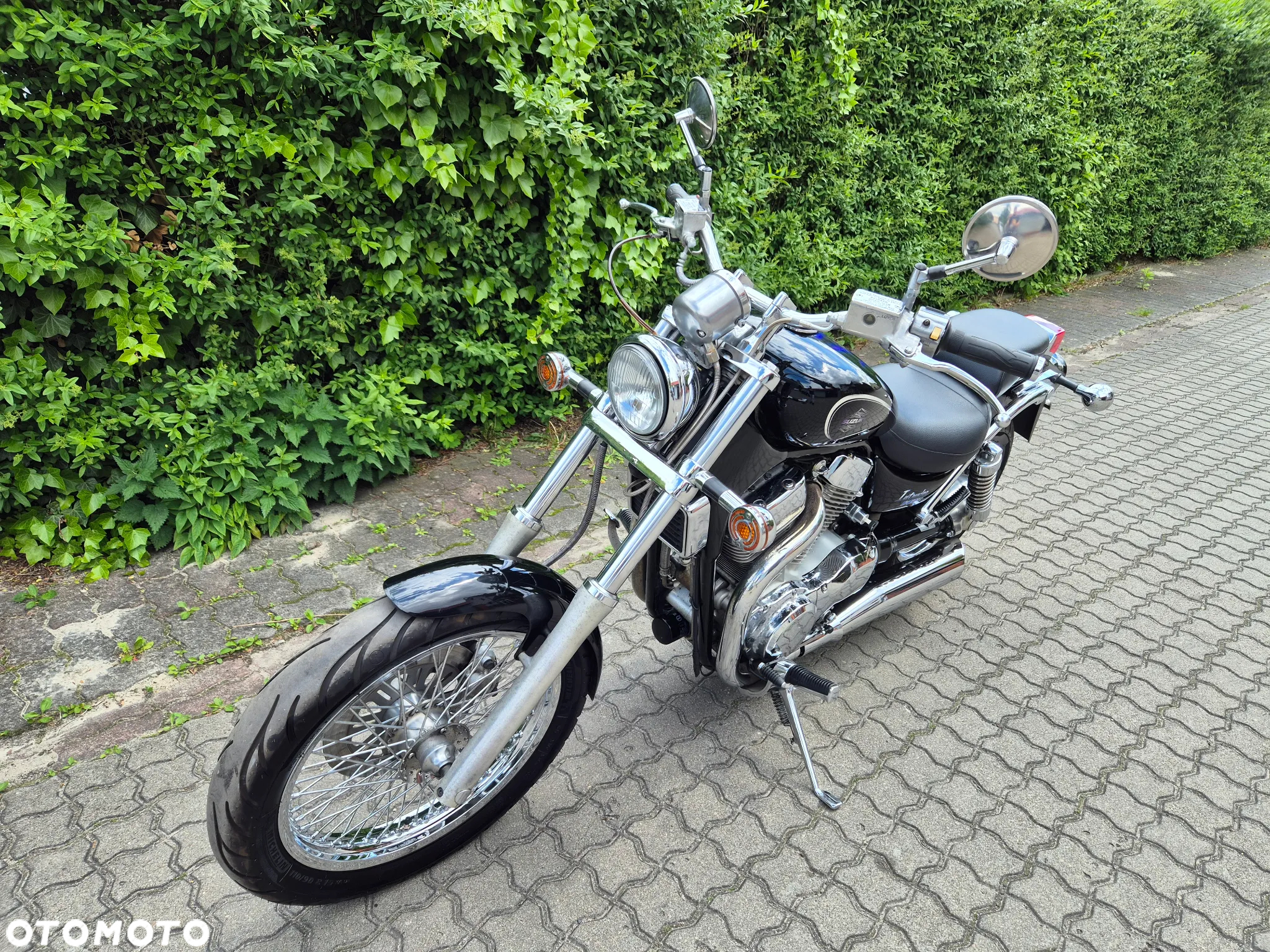 Suzuki Intruder - 20